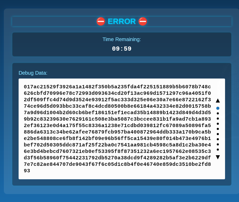Screenshot of debug information