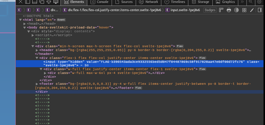 HTML flag